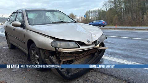 Смертельное ДТП с участием пешехода произошло утром 27 октября в Гомельском районе