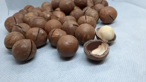 В Беларуси запретили продажу китайских орехов макадамия из-за опасных добавок