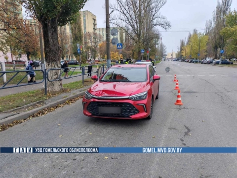 В Гомеле водитель сбил двух пожилых пешеходов на пешеходном переходе