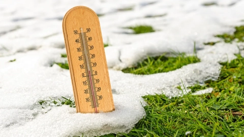 В Беларусь в конце октября придет аномальное тепло — до +17 °C