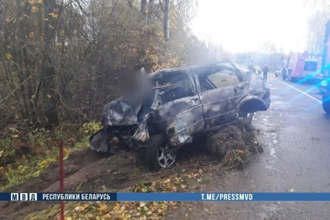 Два человека сгорели в автомобиле после вылета в кювет под Кричевом