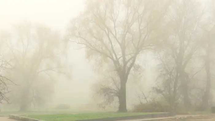 Туманы и моросящие дожди: Беларусь встречает 10 ноября под серым небом