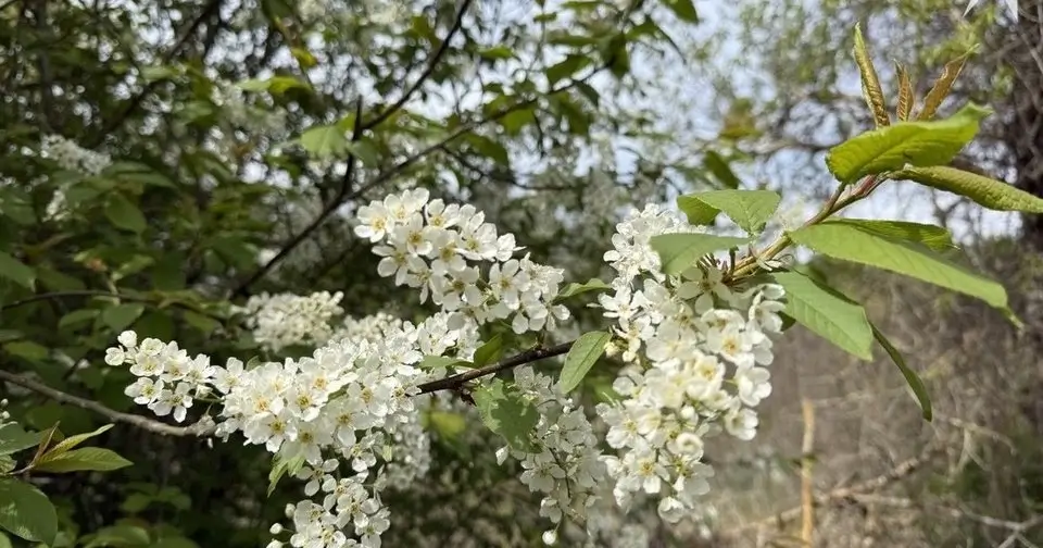Белгидромет прогнозирует аномально теплую погоду в Беларуси в начале ноября