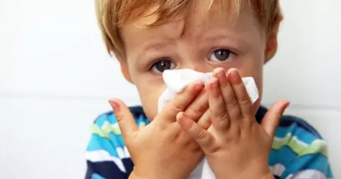 Без справки до пяти дней: белорусским школьникам разрешили оставаться дома во время сезона простуд