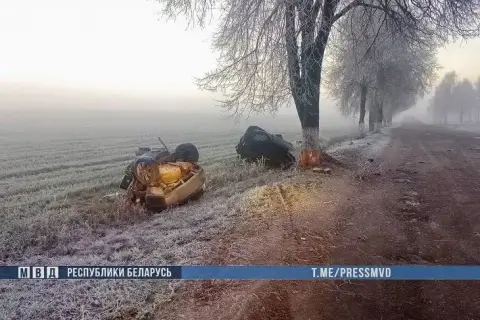 Жёсткое ДТП под Веткой: автомобиль разорвало при ударе о дерево, погибли два 18-летних парня
