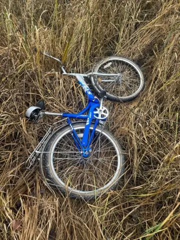 В Березинском районе нашли велосипед пропавшего подростка: поиски Максима продолжаются