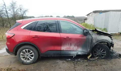 Пенсионера задержали по подозрению в умышленном поджоге Ford в деревне Тушково