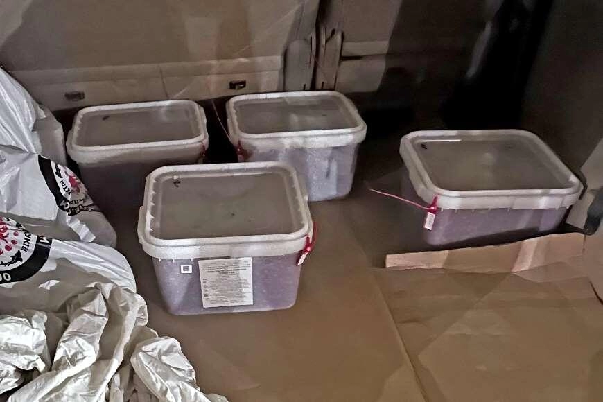 Более 250 кг красной икры развернули на границе при попытке ввоза в Беларусь