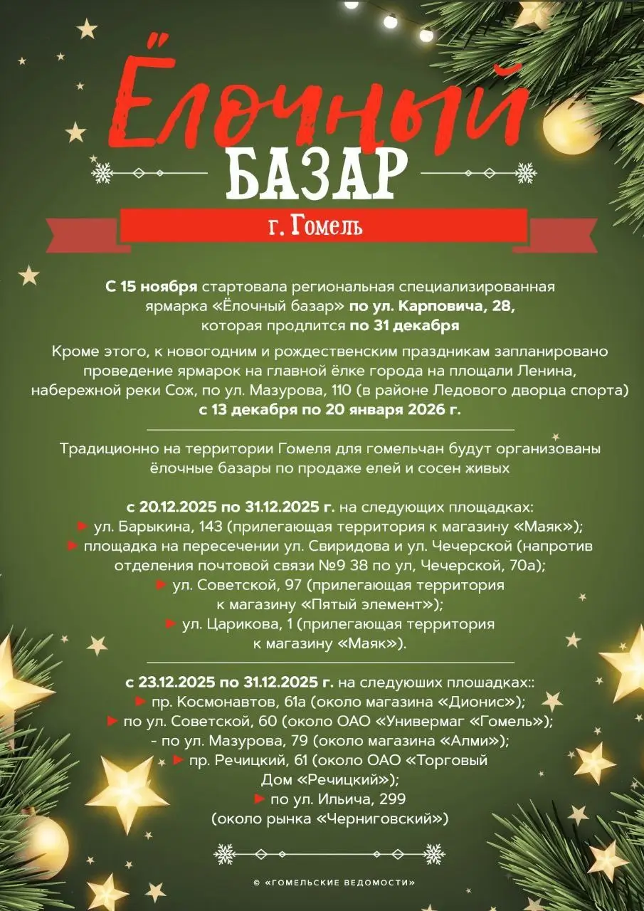 В Гомеле открывают новогодние ёлочные ярмарки: полный список адресов и дат