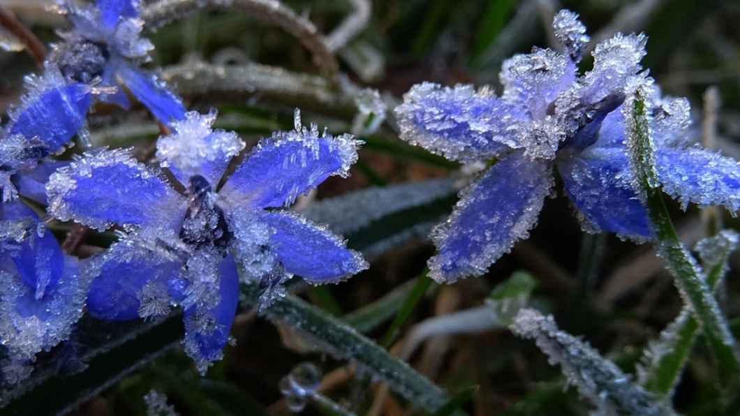 Арктический фронт принесет морозы до −12 и смешанные осадки в Беларусь на ближайших выходных