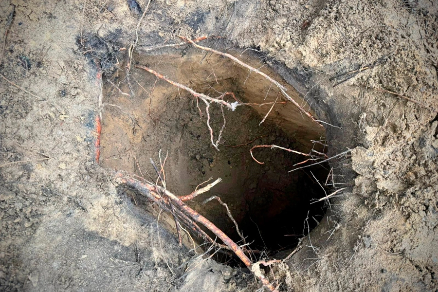 Фото: Подляский отдел Пограничной службы