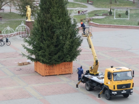 В Добриче главную новогоднюю ёлку установили из частного дерева местной жительницы
