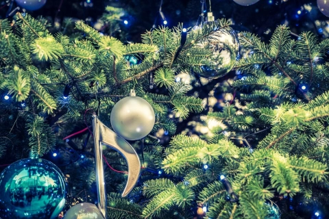 К праздничной акции «Зажигаем ёлку вместе» в Гомеле усилят работу общественного транспорта