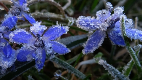 Арктический фронт принесет морозы до −12 и смешанные осадки в Беларусь на ближайших выходных