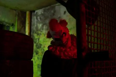 Хорроры как способ переключить сознание: как страшные фильмы помогают побороть мрачные мысли