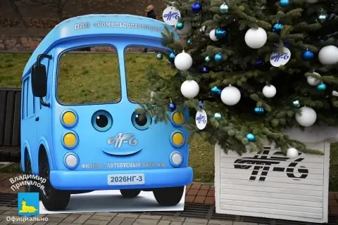 Новогодняя аллея в Гомеле превратила набережную в праздничную витрину авторских елей