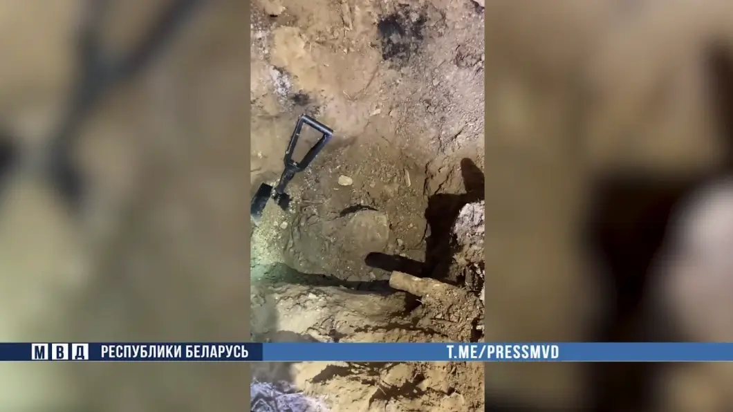 В Минской области задержан мужчина по подозрению в убийстве отца своей сожительницы