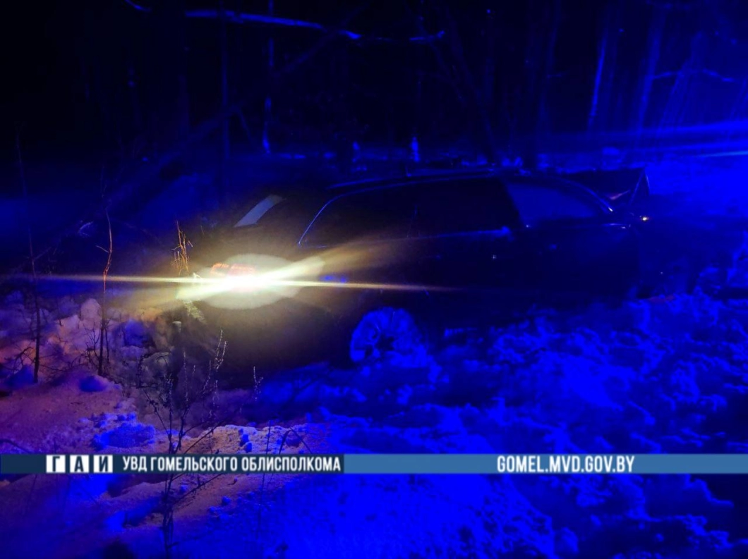 В Гомельском районе автомобиль столкнулся с лосем: пострадал пассажир