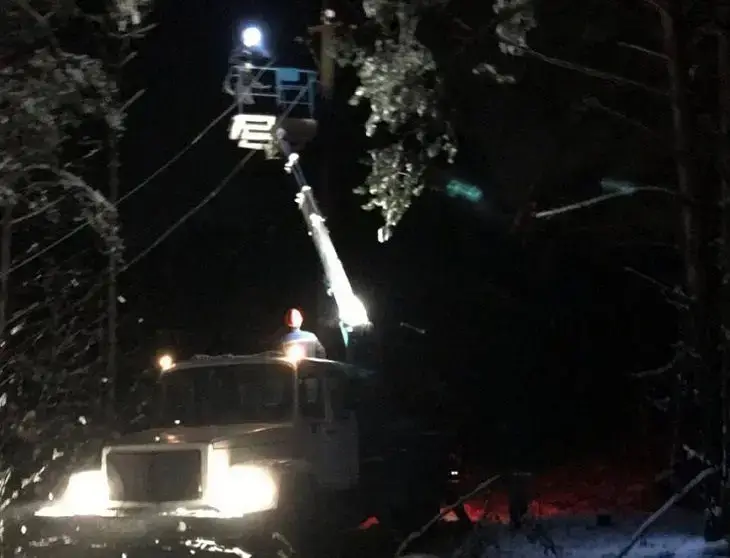 Непогода в Беларуси обесточила более 220 населённых пунктов из-за снегопада и гололёда