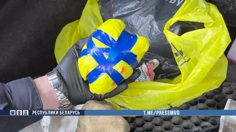 В Кировске задержан курьер интернет-наркомагазина с крупной партией психотропов