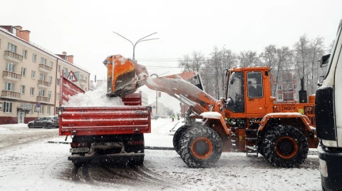 В Гомельской области из-за снегопада задействовано более 960 единиц спецтехники для расчистки дорог