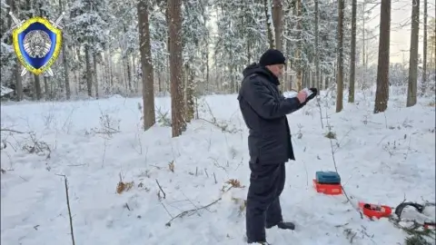 В Костюковичском районе при санитарной вырубке леса погиб рабочий