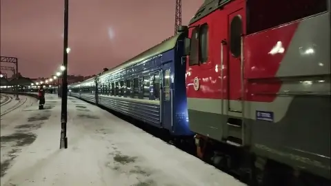 БЖД сообщила о технической остановке поезда Санкт-Петербург — Брест в Витебской области