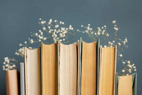 В Беларуси запрещена продажа ряда детских книг про Буратино, Маугли и Алису