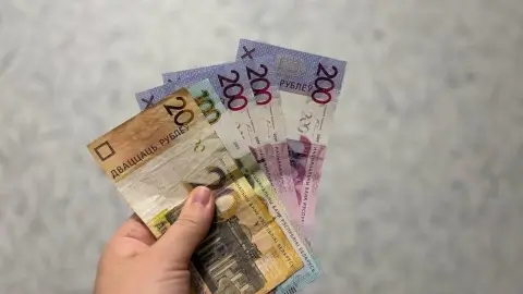 Кому в Беларуси положена государственная выплата до 24 000 рублей при рождении нескольких детей