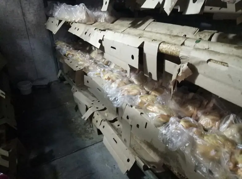 Подпольные мясные цеха работали годами – штрафы достигли 380 тысяч рублей