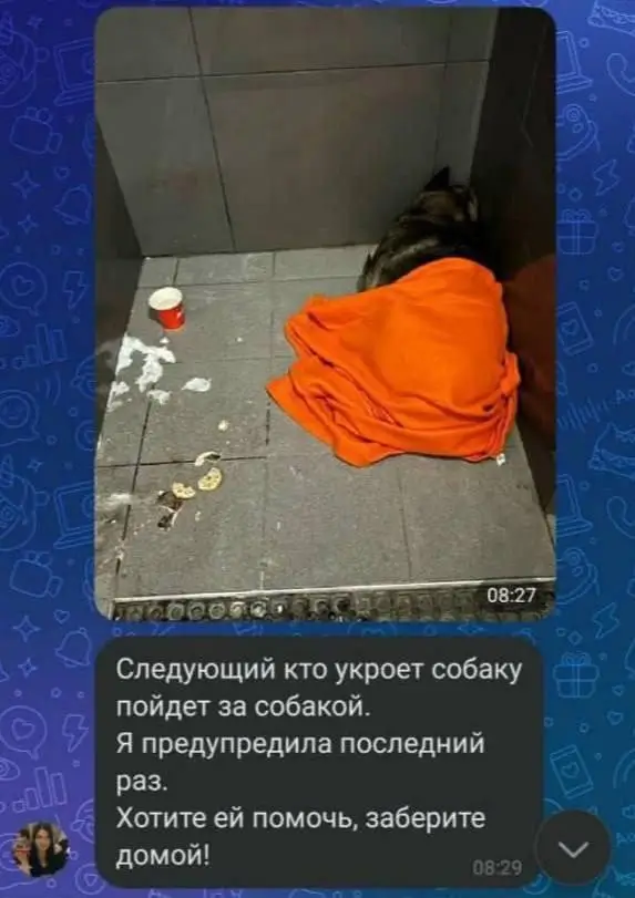 Скандал в челябинской «Додо Пицце» из-за собаки привел к отставке – управляющая уволилась по собственному желанию