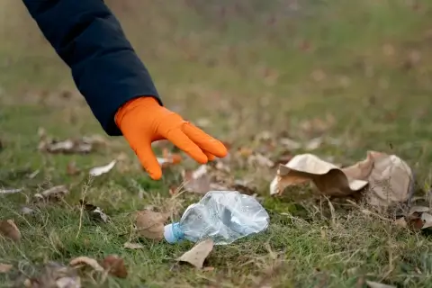Белорусские власти вводят «письма счастья» за мусор в лесах — нарушителей будут штрафовать по фотофиксации