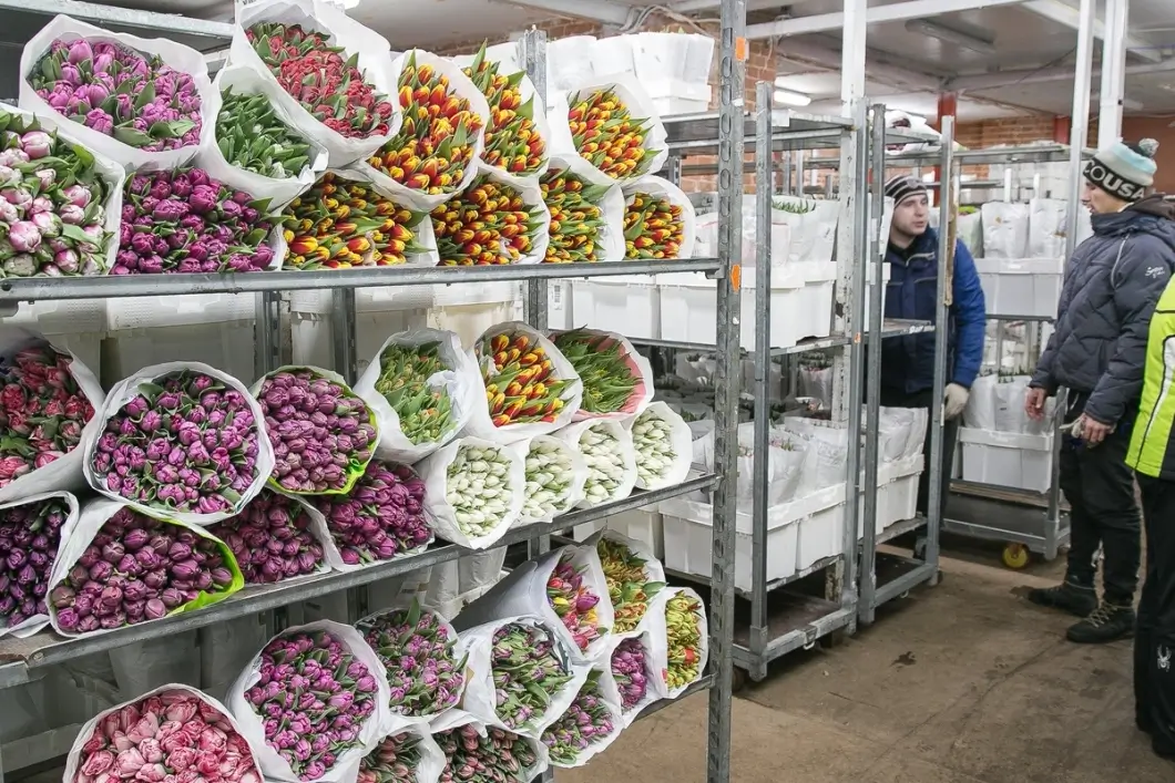 Подарки к 8 Марта в Беларуси обложили лимитами — за что нанимателю придется платить налог