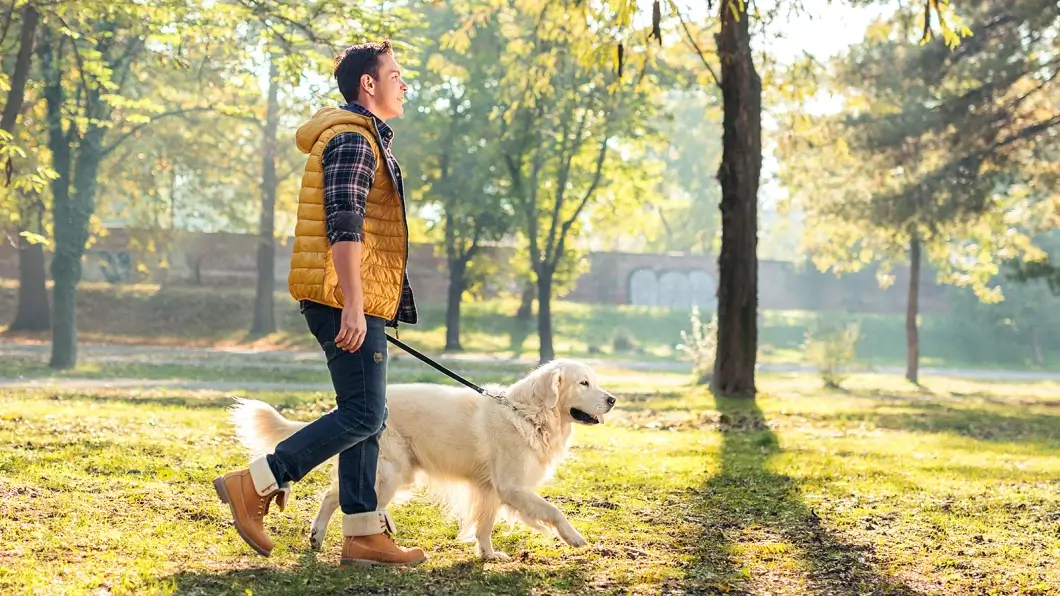 За «сюрприз» на газоне придется платить – штрафы для владельцев собак достигают 675 рублей