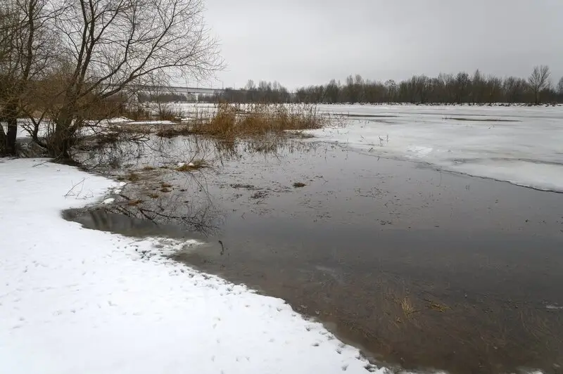 Селфи на тонком льду едва не обернулось трагедией в Гродно – как случайные прохожие вытащили тонущих подростков