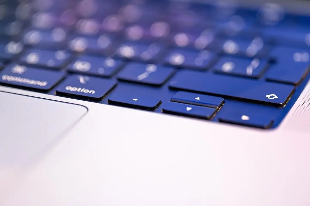 В Минске создадут единую базу домашних животных — зачем это нужно владельцам питомцев