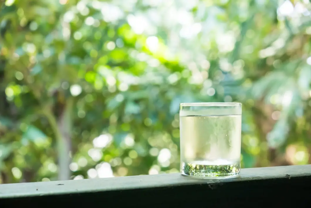 Сбор березового сока начался в Минской области — по каким ценам лесхозы будут продавать первый урожай