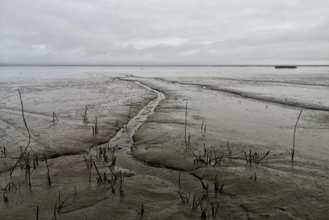В Беларуси паводок подтопил 18 домов и 41 подворье — МЧС держит ситуацию под контролем