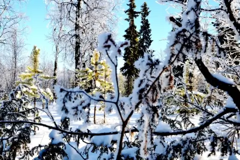 Весна в Беларуси начнется с аномальных +15 градусов – спасатели предупредили о скрытой угрозе