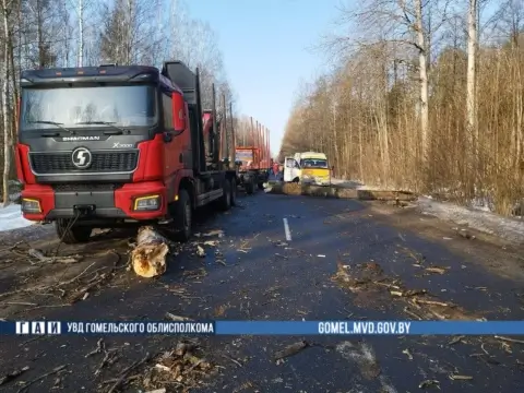 В Чечерском районе грузовик протаранил упавшее дерево — почему доброе дело обернулось смертью пенсионера