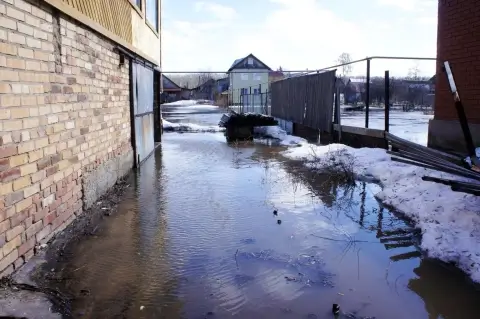 Дворы в Брестской области уходят под воду — почему гидрологи отрицают начало весеннего паводка