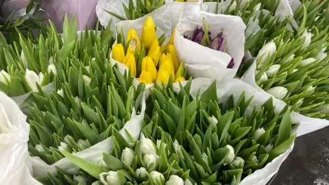 В Беларуси прошли массовые рейды по продавцам цветов — почему МАРТ выдал десятки предписаний