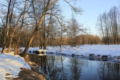 В Беларуси начался весенний паводок – где уровень воды подскочил на 17 сантиметров